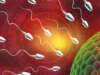 The Journey to Parenthood: Unveiling the Wonders of In Vitro Fertilization (IVF)