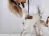 Soothing Solutions: Home Treatment for Dog Swollen Anus