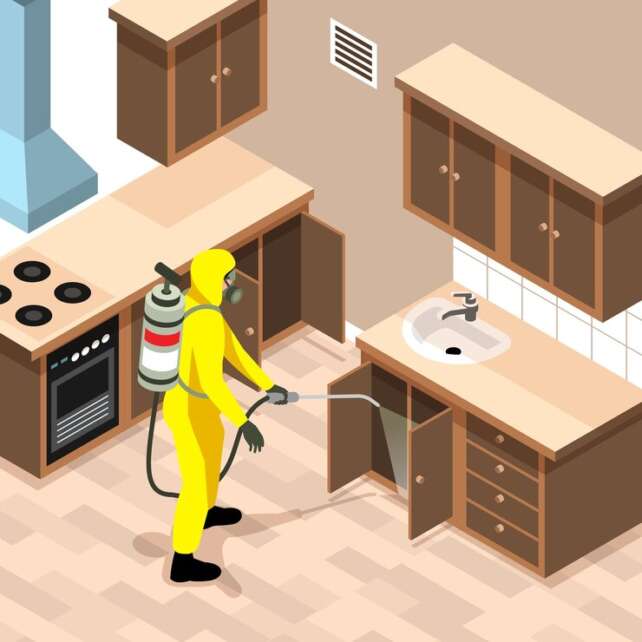 Affordable pest control