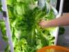 Grow Fresh, Healthy Produce with a Hydroponic Tower Garden